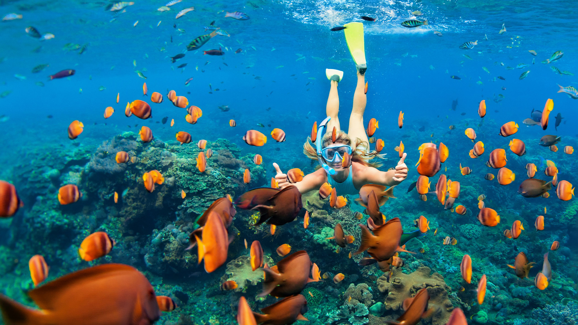 Cancun 2026 Septiembre & Octubre - imagen 4