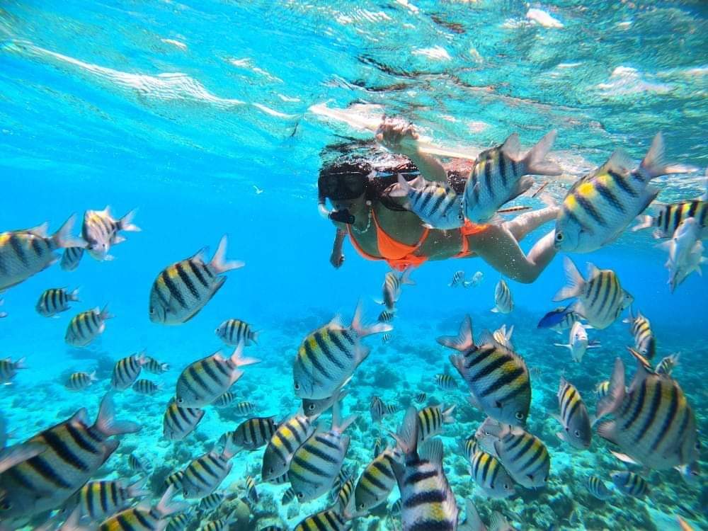 SAN ANDRES COLOMBIA Octubre 2026 - imagen 2