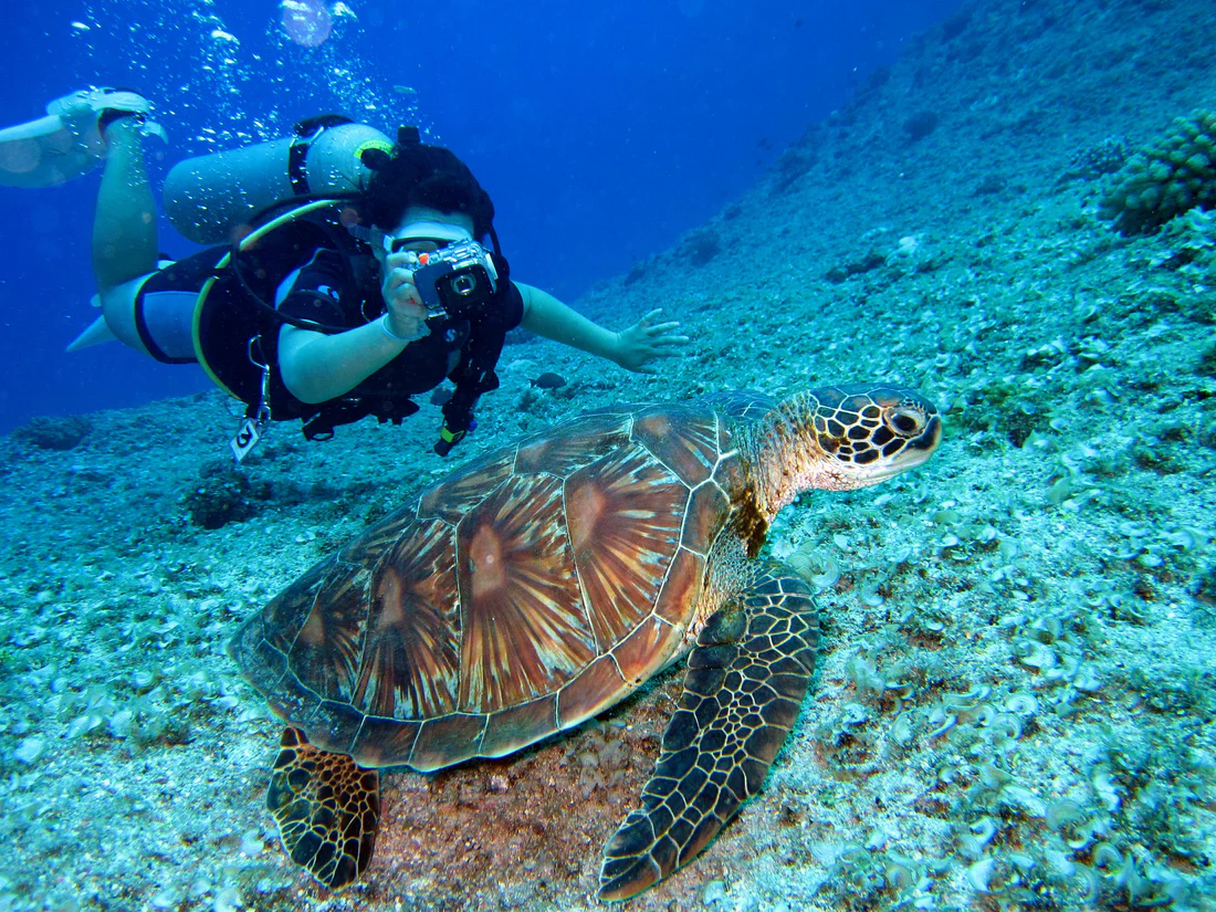 SAN ANDRES COLOMBIA Octubre 2026 - imagen 7