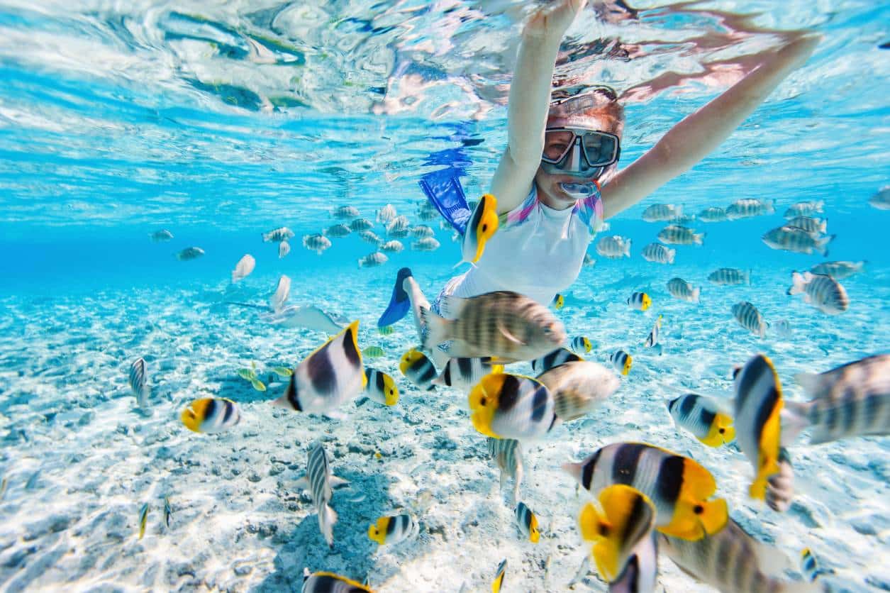 PUNTA CANA - Family Plan - imagen 3