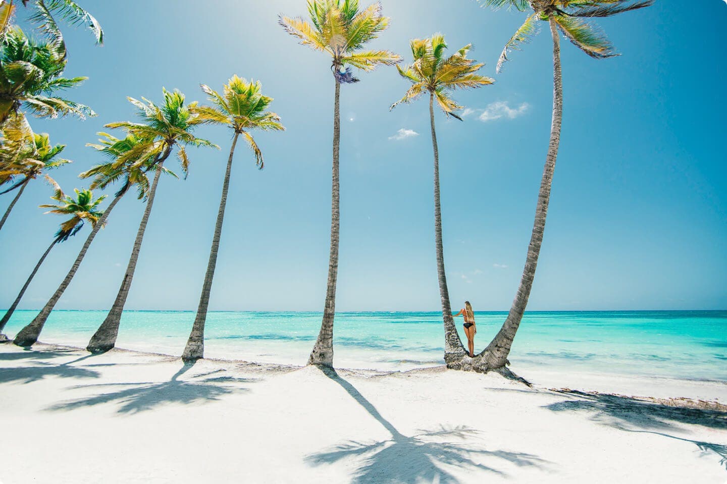 PUNTA CANA - Family Plan - imagen 7