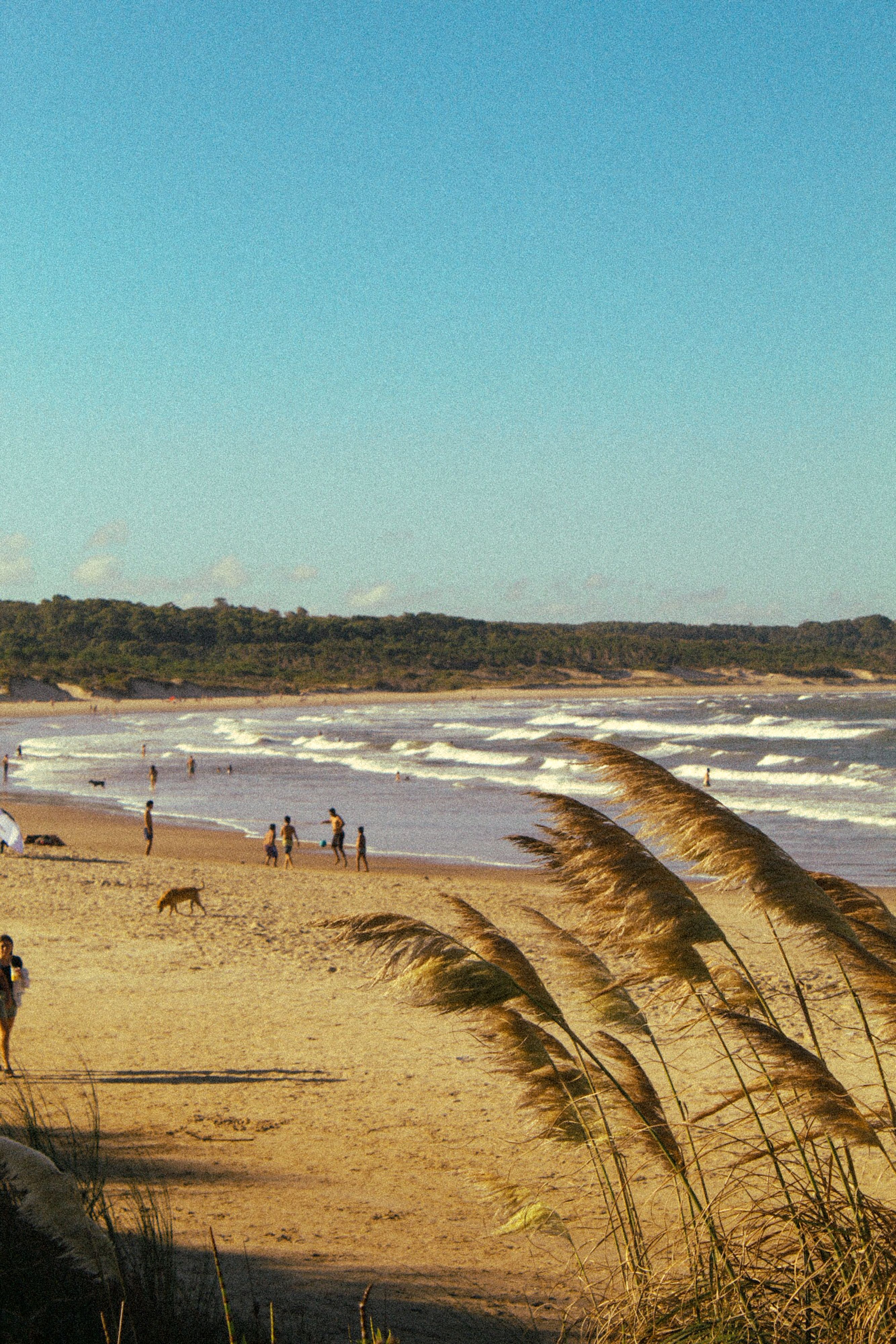 Villa Gesell 2027: Pre-Venta en Hotel Las Golondrinas 3* - Salida 1 de enero de 2027 en Villa Gesell