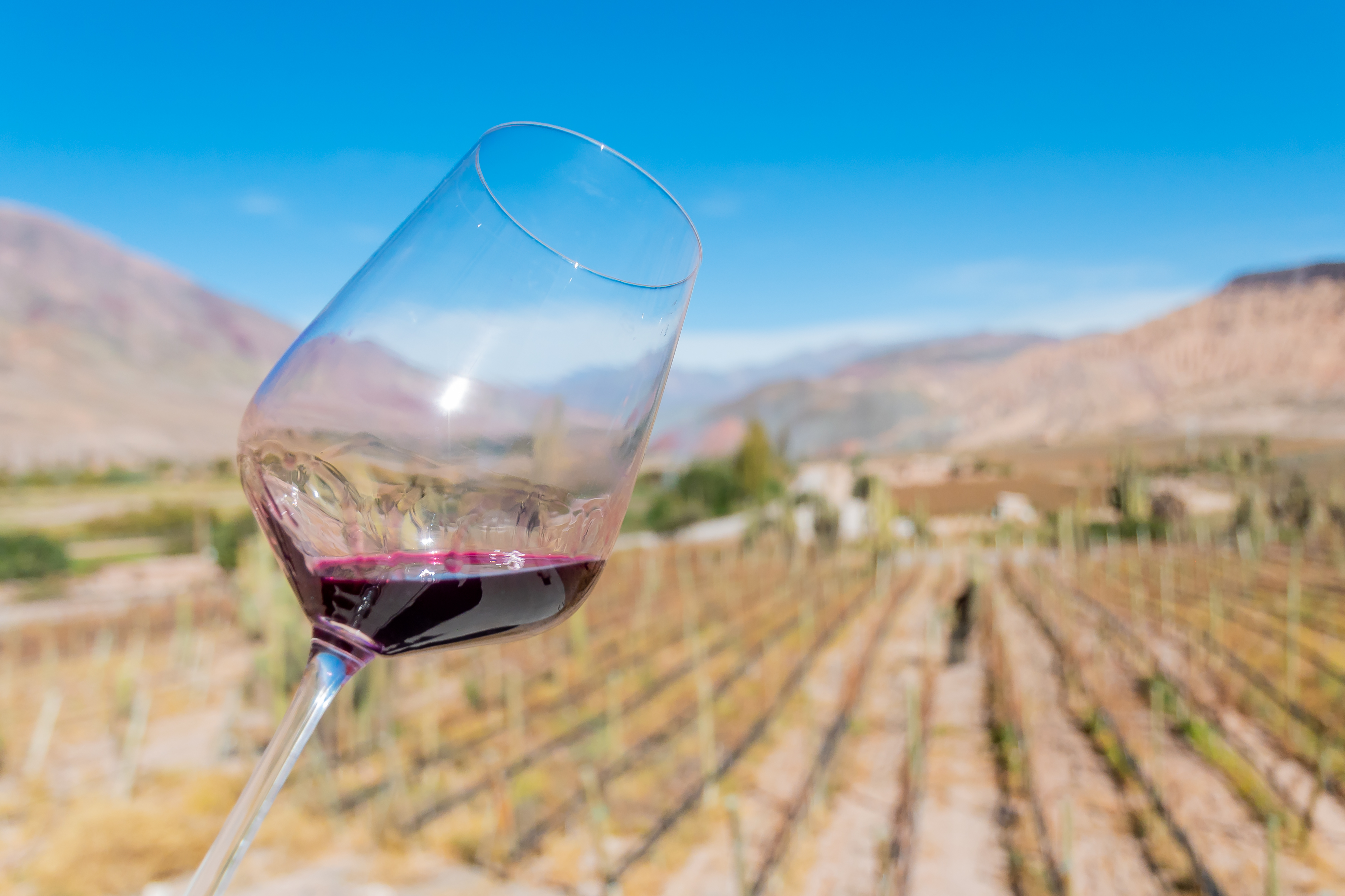 Ruta del Vino - imagen 2