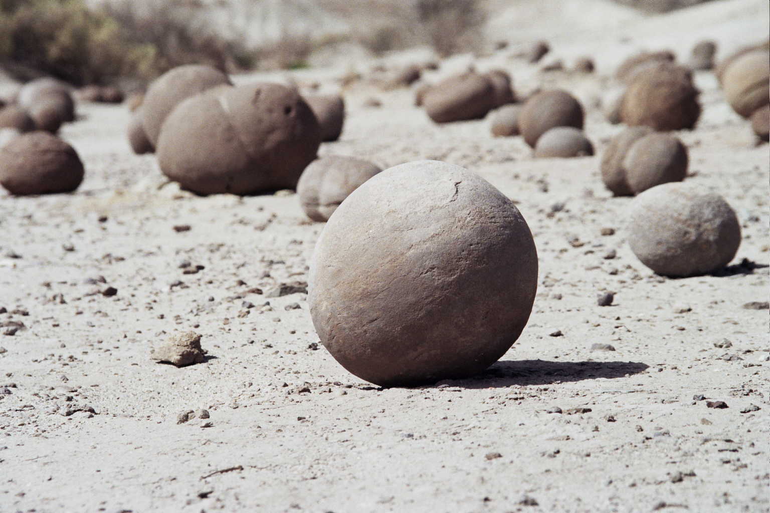 Parque provincial Ischigualasto - Circuito tradicional - imagen 5