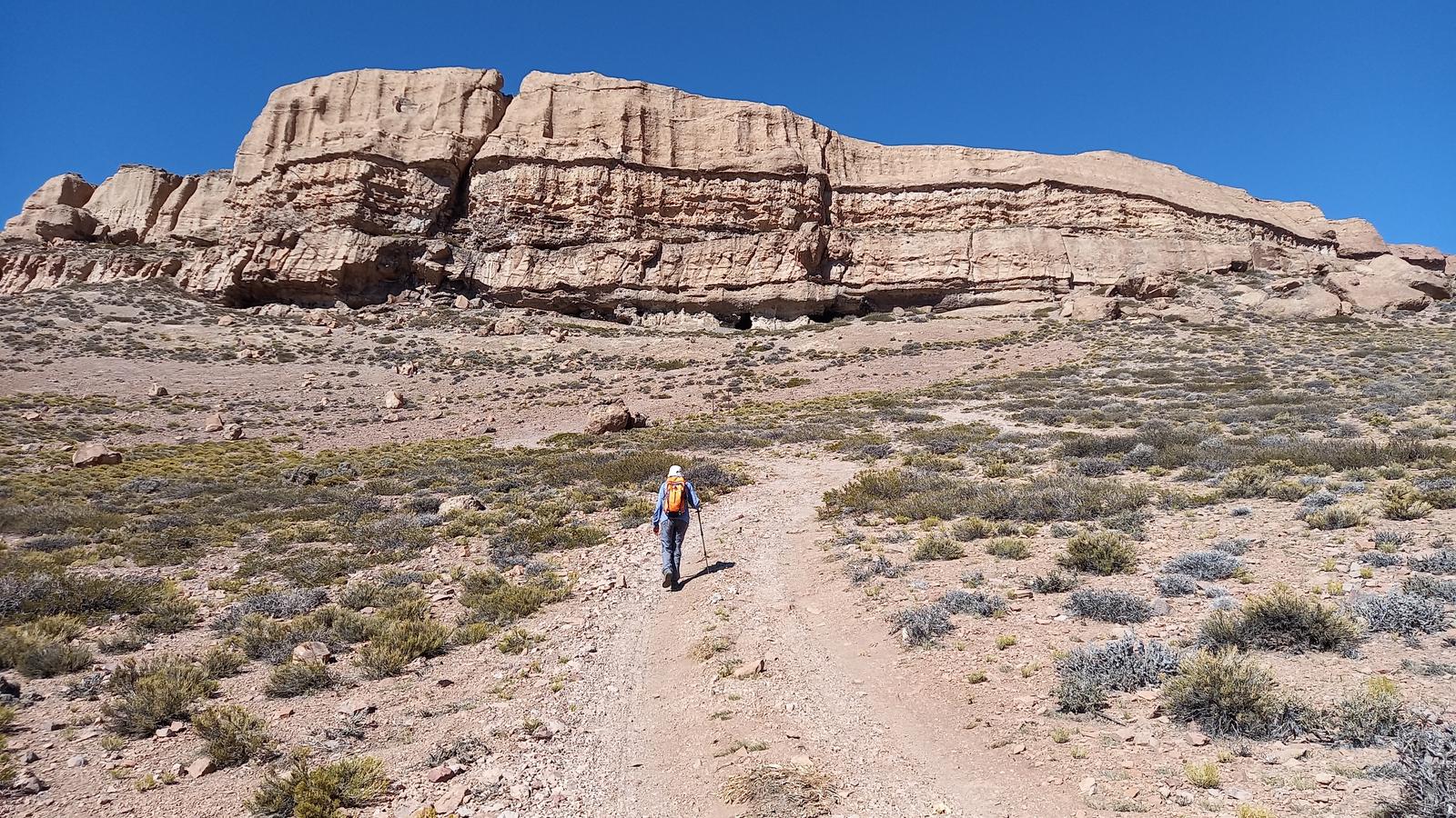 Barreal y Calingasta + Trekking Los Morrillos (02 días / 01 noche) - imagen 4