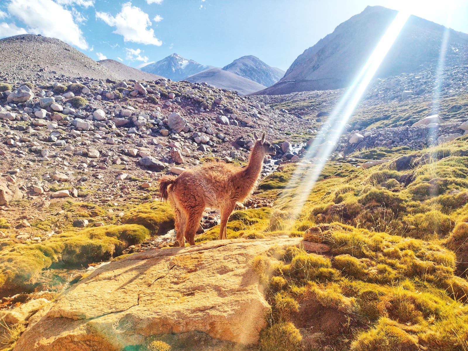 Barreal y Calingasta + Trekking Laguna Blanca (02 días / 01 noche) - imagen 4